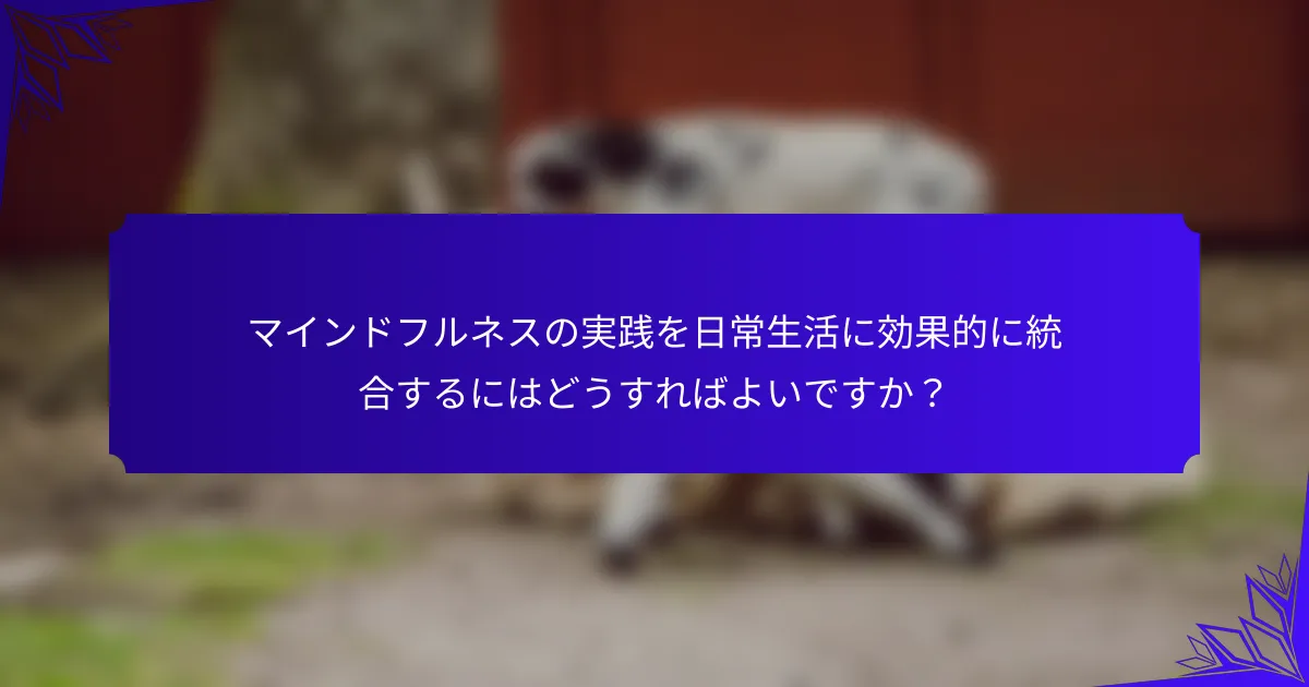 マインドフルネスの実践を日常生活に効果的に統合するにはどうすればよいですか?